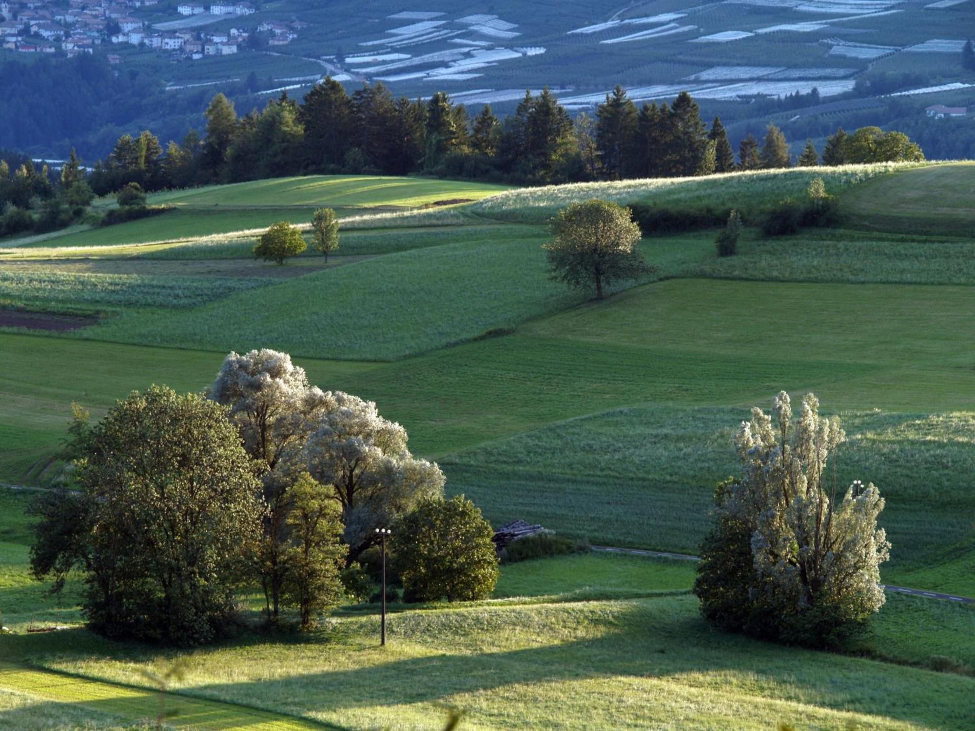 קבארנו Casa Pradiei Dolomiti View מראה חיצוני תמונה